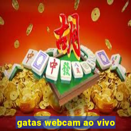 gatas webcam ao vivo